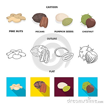 Pecan, pine nut, pumpkin seeds, chestnut.Different kinds of nuts set collection icons in cartoon,outline,flat style Vector Illustration