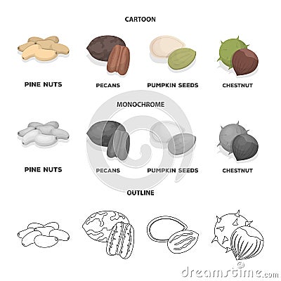 Pecan, pine nut, pumpkin seeds, chestnut.Different kinds of nuts set collection icons in cartoon,outline,monochrome Vector Illustration