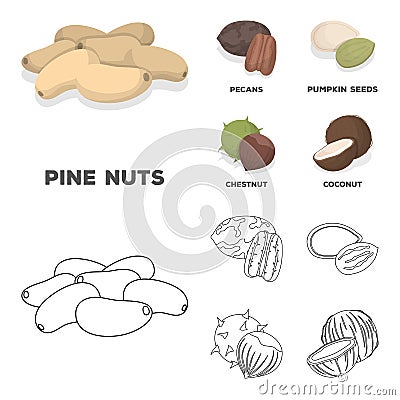 Pecan, pine nut, pumpkin seeds, chestnut.Different kinds of nuts set collection icons in cartoon,outline style vector Vector Illustration