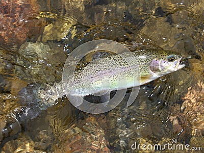 Pecos River Rainbow Stock Photo