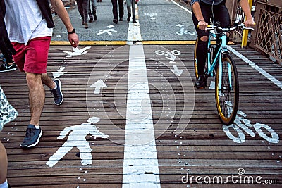 Pedestrian and bicycle riders sharing the street lanes with road marking in the city. Stock Photo