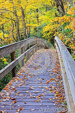 Pedestrian Bridge in Mountains North Carolina Stock Photo