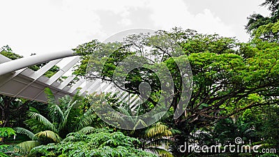 Pedestrian bridge over the Alexandra Road in Singapore Editorial Stock Photo