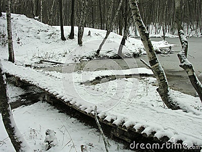 Pedestrian bridge over a small stream in a forest park Stock Photo