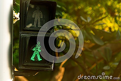 Pedestrian signals on traffic light pole. Pedestrian crossing sign for safe to walk in the city. Crosswalk signal. Green traffic Stock Photo