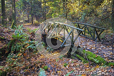 Wooden Bridge Hiking Trail Lush Autumn Foliage Stanley Park Vancouver BC Canada Stock Photo