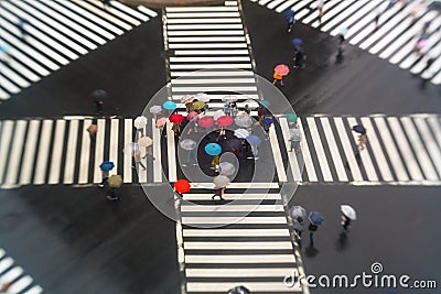 Pedestrians crossing with umbrellas, Sukiyabashi, Pedestrian, Crossing, Ginza, Tokyo Editorial Stock Photo