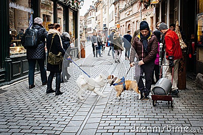 Pedestrians with man and woman with dogs Editorial Stock Photo