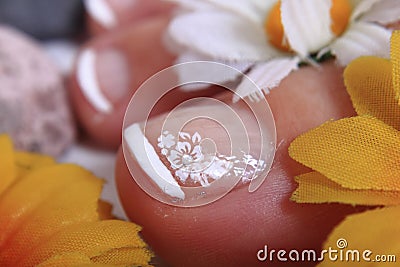 Pedicure nails, feet and flowers Stock Photo