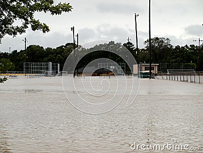 Pedigo Park Sports Fields Flooded Editorial Stock Photo