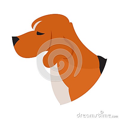 Pedigree dog head beagle Vector Illustration