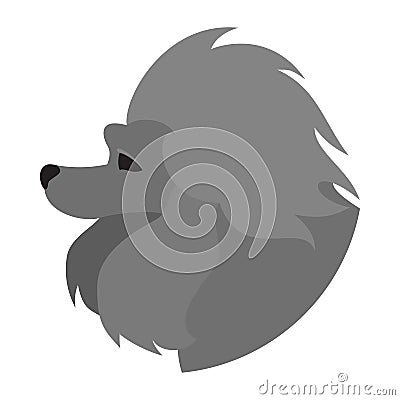 Pedigree dog head poodle Vector Illustration