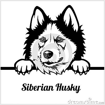 Siberian Husky - Peeking Dogs - breed face head isolated on white Vector Illustration