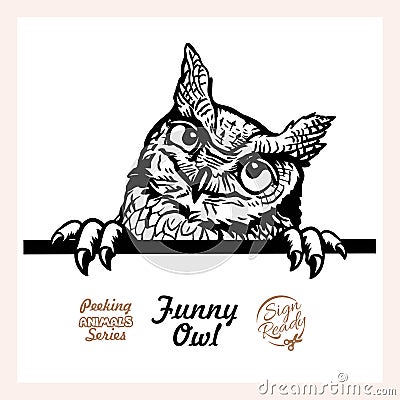 Peeking Funny Owl - Funny Owl peeking out - face head isolated on white Vector Illustration