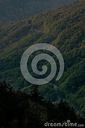 Peeking Over View Of Newfound Gap Road Stock Photo