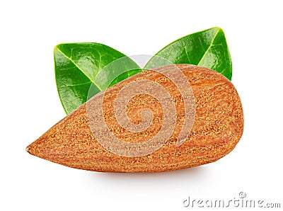 Peeled almond kernel with green leaves Stock Photo