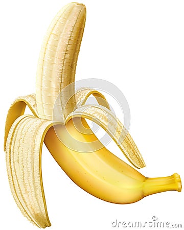 Peeled banana Vector Illustration