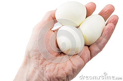 Peeled boiled eggs in male hand isolated on white Stock Photo