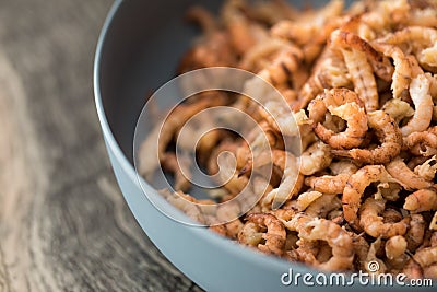 Peeled German Friesland north sea shrimps or crabs in bowl Stock Photo