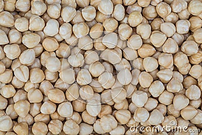 Peeled hazelnuts Stock Photo