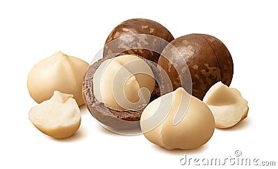 Peeled macadamia nuts. Horizontal composition isolated on white background Stock Photo
