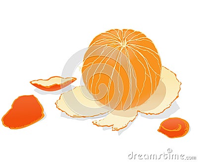 Peeled orange Vector Illustration