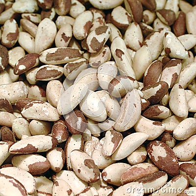 Peeled peacan nuts Stock Photo