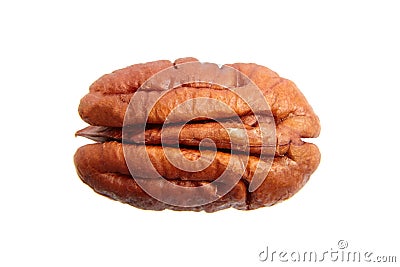 Peeled pecan nut isolated on a white background, top view. Single pecan seed half Stock Photo