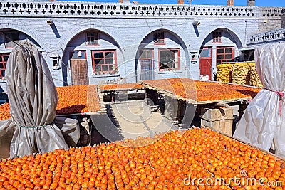 Airing persimmons Stock Photo