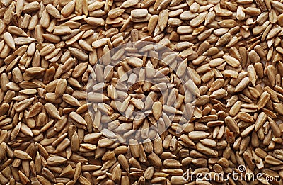 Peeled sunflower seeds background Stock Photo