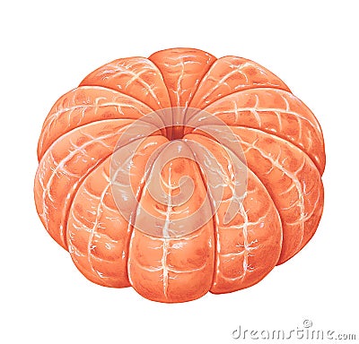 Peeled Tangerine Cartoon Illustration