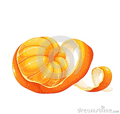 Peeled tangerine or mandarin fruit with twist skin Cartoon Illustration