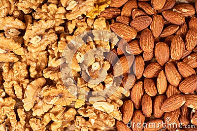 Peeled walnuts and almond nuts Stock Photo