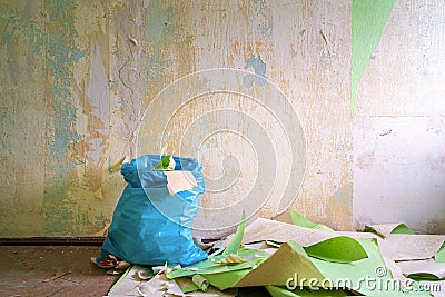 Peeling off wallpaper during interior home repair renovation and disposal of waste Stock Photo