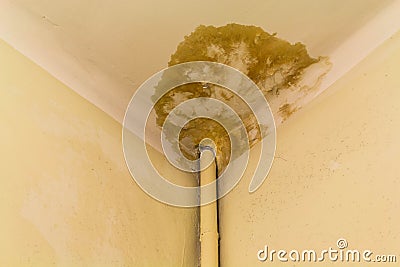 Peeling paint on the ceiling. Rusty water leaking pipe. Repair is required Stock Photo