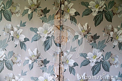 Peeling wallpaper on drywall plasterboard wall, with vintage white flowers and leaves Stock Photo