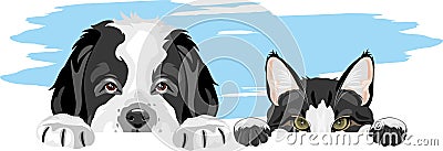 Peeping Saint Bernard puppy dog and cute cat Vector Illustration