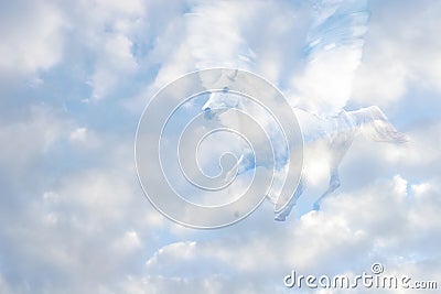 Pegasus Stock Photo