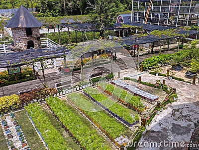 Pekanbaru, Indonesia - 05-06-2023: Scenic view of a beautiful Asia style landscape garden with various kind of plants. Editorial Stock Photo