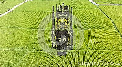 The Peking Opera masks in the rice field Editorial Stock Photo