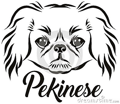 Pekingese head german name Vector Illustration