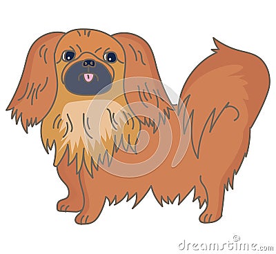 Pekingese Vector Illustration