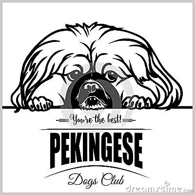 Pekingese - vector illustration for t-shirt, logo and template badges Vector Illustration