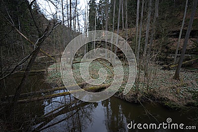 Peklo, Czechia - March 26, 2022: snowflakes in spring Editorial Stock Photo