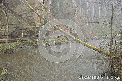 Peklo, Czechia - March 25, 2023: spring pouring rain by Robecsky potok stream Editorial Stock Photo