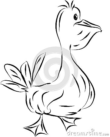 Pelican Cartoon Illustration