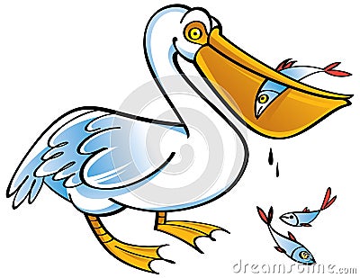 Pelican Vector Illustration