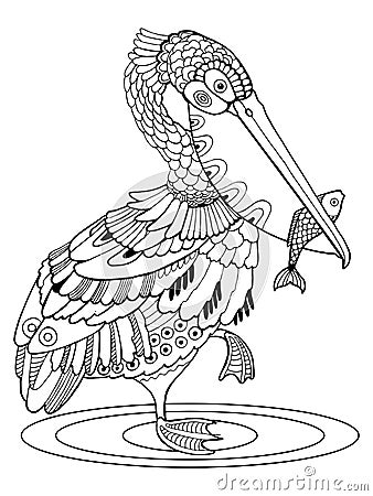 Pelican bird coloring book vector illustration Vector Illustration