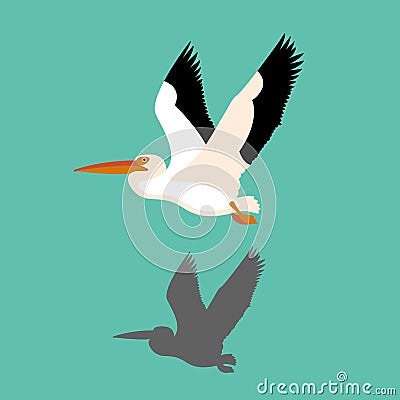 Pelican bird vector illustration Flat Vector Illustration