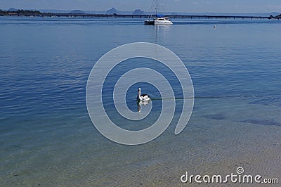 Pelican and sailing boat Bribie Island Queensland Stock Photo